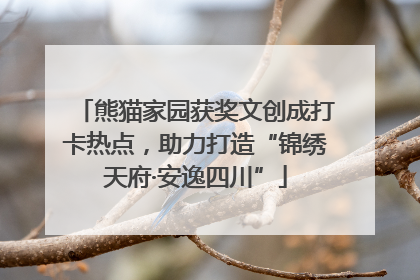熊猫家园获奖文创成打卡热点，助力打造“锦绣天府·安逸四川”