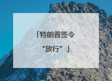 特朗普签令“放行”