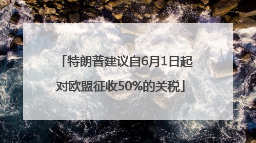 特朗普建议自6月1日起对欧盟征收50%的关税