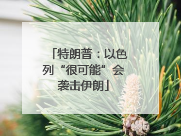 特朗普：以色列“很可能”会袭击伊朗