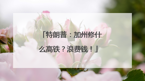 特朗普：加州修什么高铁？浪费钱！