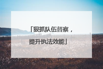 狠抓队伍督察，提升执法效能