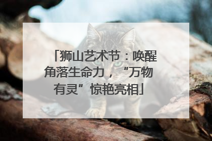 狮山艺术节：唤醒角落生命力，“万物有灵”惊艳亮相