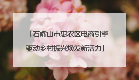 石嘴山市惠农区电商引擎驱动乡村振兴焕发新活力