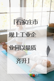 石家庄市规上工业企业何以量质齐升
