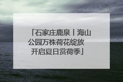 石家庄鹿泉丨海山公园万株荷花绽放 开启夏日赏荷季