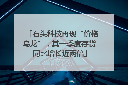 石头科技再现“价格乌龙”，其一季度存货同比增长近两倍