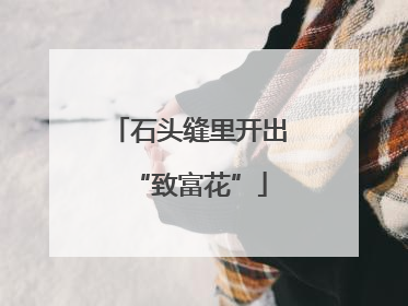 石头缝里开出“致富花”