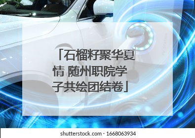 石榴籽聚华夏情 随州职院学子共绘团结卷