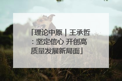 理论中原｜王承哲：坚定信心 开创高质量发展新局面