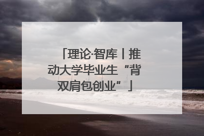理论·智库丨推动大学毕业生“背双肩包创业”