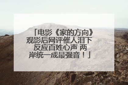 电影《家的方向》观影后网评催人泪下 反应百姓心声 两岸统一成最强音！