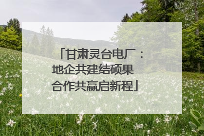甘肃灵台电厂：地企共建结硕果 合作共赢启新程
