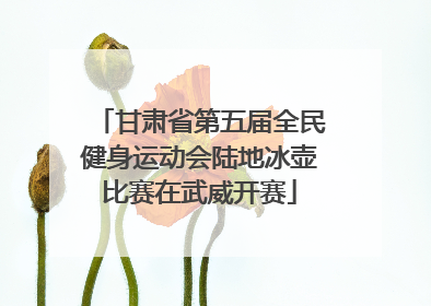 甘肃省第五届全民健身运动会陆地冰壶比赛在武威开赛