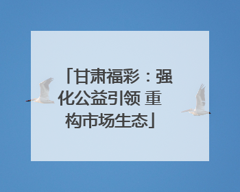 甘肃福彩：强化公益引领 重构市场生态