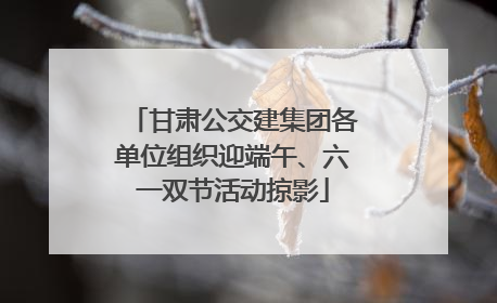 甘肃公交建集团各单位组织迎端午、六一双节活动掠影
