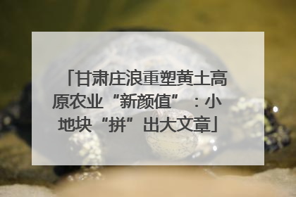 甘肃庄浪重塑黄土高原农业“新颜值”：小地块“拼”出大文章