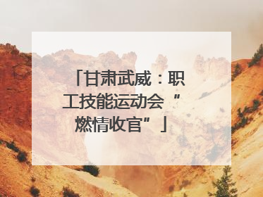 甘肃武威：职工技能运动会“燃情收官”