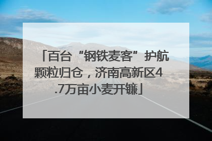 百台“钢铁麦客”护航颗粒归仓，济南高新区4.7万亩小麦开镰