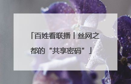 百姓看联播丨丝网之都的“共享密码”