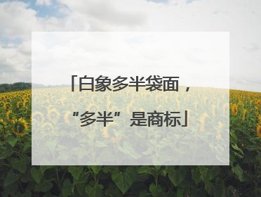 白象多半袋面，“多半”是商标