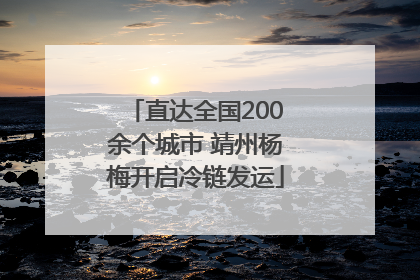 直达全国200余个城市 靖州杨梅开启冷链发运
