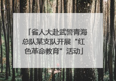 省人大赴武警青海总队某支队开展“红色革命教育”活动