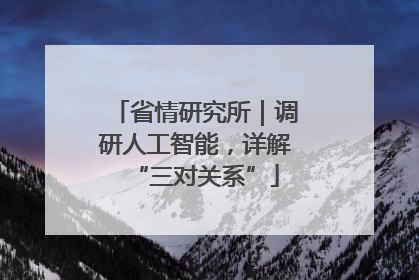 省情研究所｜调研人工智能，详解“三对关系”