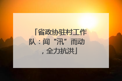 省政协驻村工作队：闻“汛”而动，全力抗洪