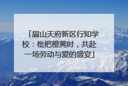 眉山天府新区行知学校：枇杷橙黄时，共赴一场劳动与爱的盛宴