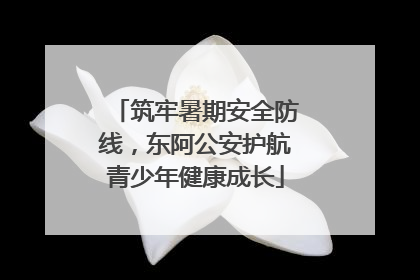 筑牢暑期安全防线，东阿公安护航青少年健康成长