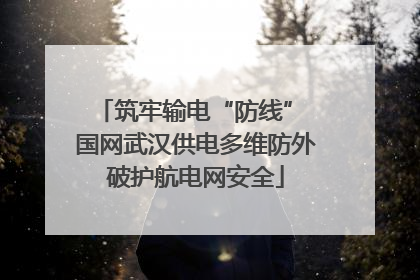 筑牢输电“防线” 国网武汉供电多维防外破护航电网安全