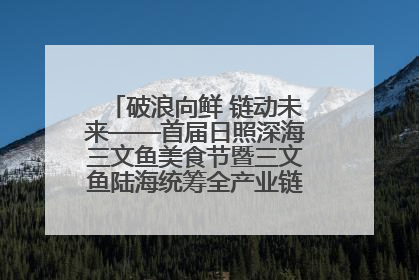 破浪向鲜 链动未来——首届日照深海三文鱼美食节暨三文鱼陆海统筹全产业链发展会议嘉宾访谈