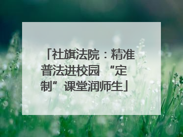 社旗法院：精准普法进校园 “定制”课堂润师生