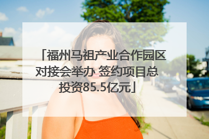 福州马祖产业合作园区对接会举办 签约项目总投资85.5亿元