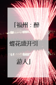福州：醉蝶花盛开引游人