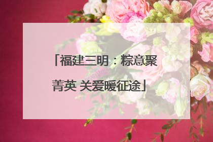 福建三明：粽意聚菁英 关爱暖征途
