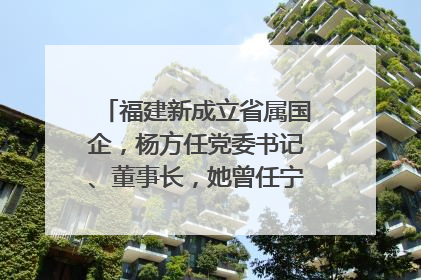 福建新成立省属国企，杨方任党委书记、董事长，她曾任宁德市委副书记｜张田怡已任县委副书记、县政府党组书记