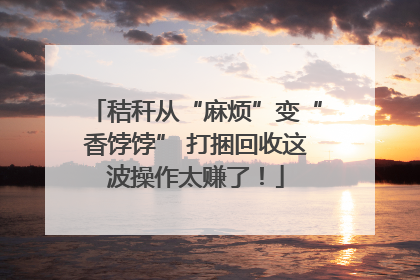 秸秆从“麻烦”变“香饽饽” 打捆回收这波操作太赚了！
