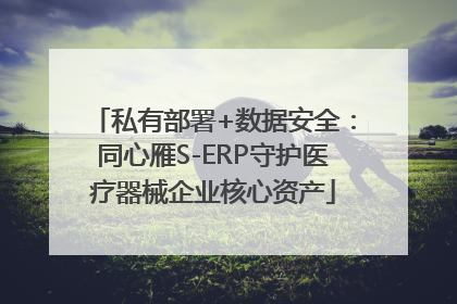 私有部署+数据安全：同心雁S-ERP守护医疗器械企业核心资产