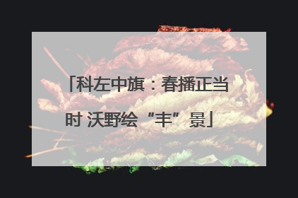 科左中旗：春播正当时 沃野绘“丰”景