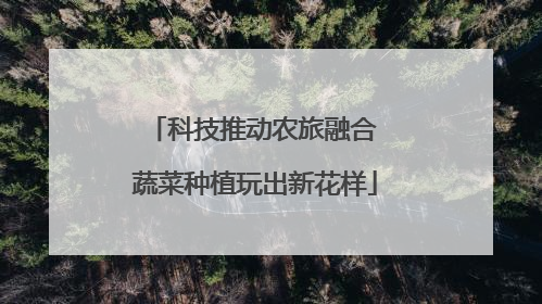 科技推动农旅融合 蔬菜种植玩出新花样