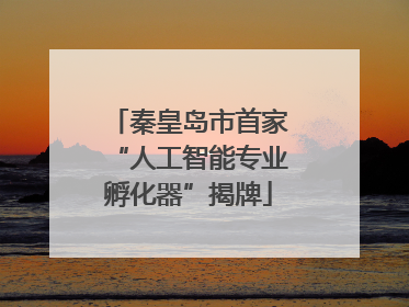 秦皇岛市首家“人工智能专业孵化器”揭牌