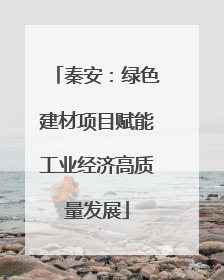 秦安：绿色建材项目赋能工业经济高质量发展
