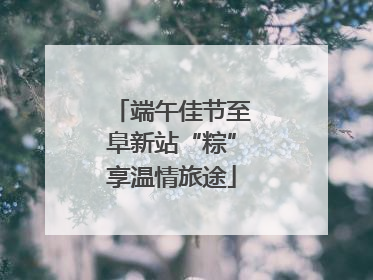 端午佳节至阜新站“粽”享温情旅途