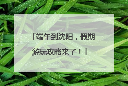 端午到沈阳，假期游玩攻略来了！