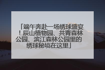 端午奔赴一场绣球盛宴！辰山植物园、共青森林公园、滨江森林公园里的绣球秘境在这里