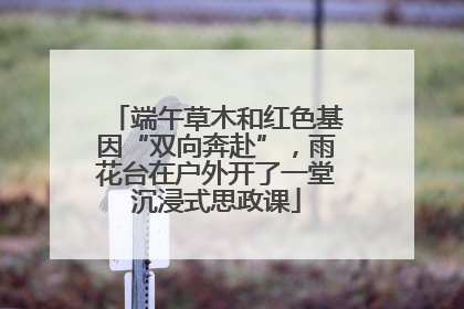 端午草木和红色基因“双向奔赴”，雨花台在户外开了一堂沉浸式思政课