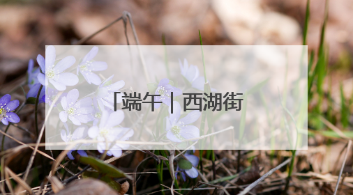 端午｜西湖街道：让传统节日焕发新活力