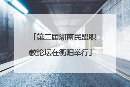 第三届湖南民盟职教论坛在衡阳举行